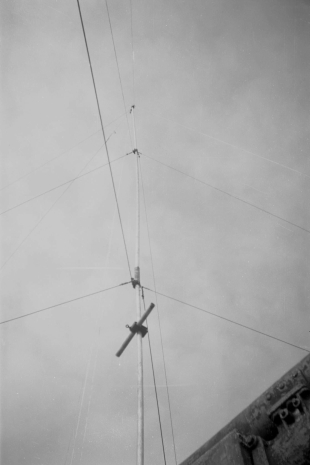 Antenna from Dolphin