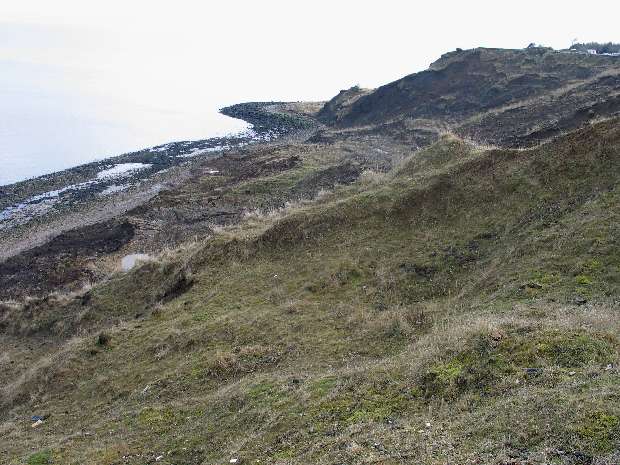 Cliffs at Warden Point