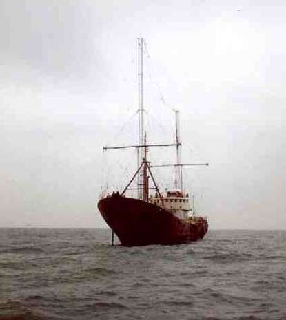 Ross revenge bow 1