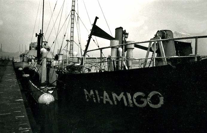 Mi-Amigo Starbourd Bow close up