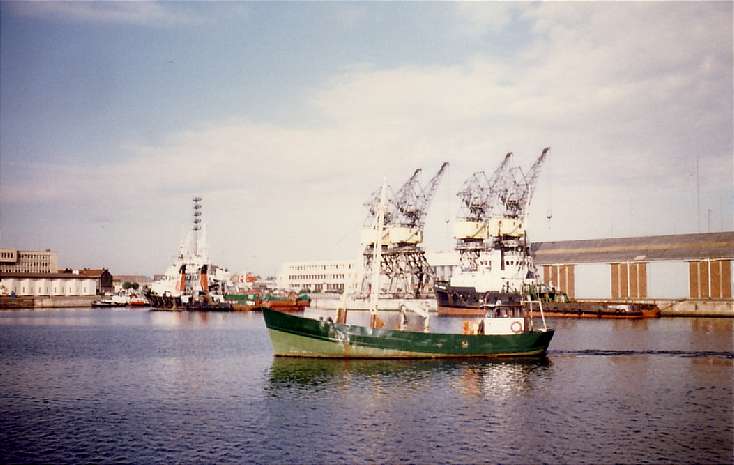 Windy leaves Dunkirk