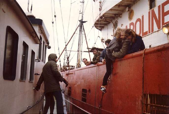 Mike Barrington, Anita Stevens, Johnny Lewis, Fer