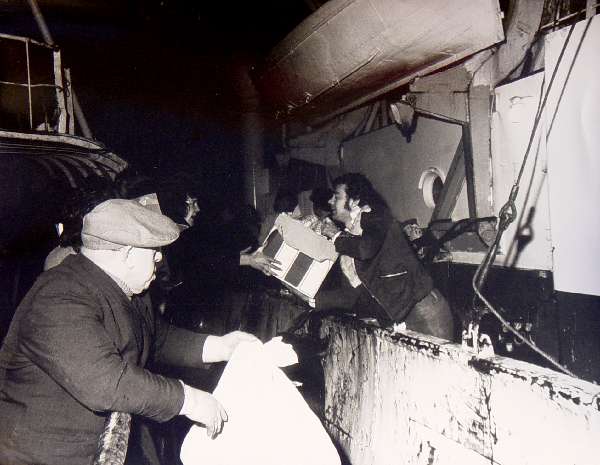 Supplies from the Dolfun