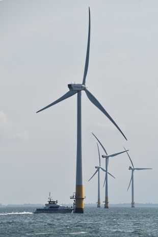 Wind Farm