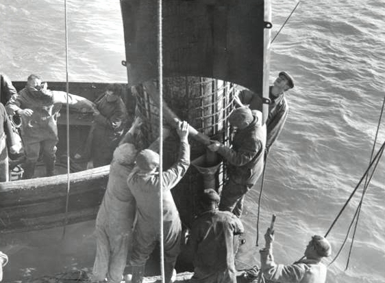 Mob handed fitting shuttering