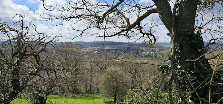 View from Priest Avenue