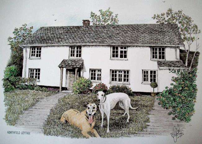 Cottage & Dogs