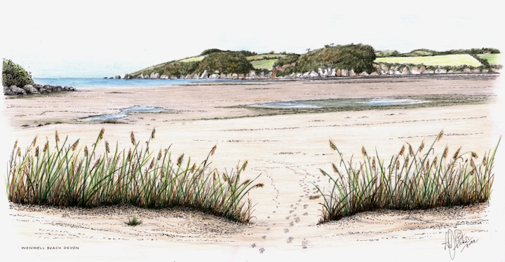 Wonwell Beach, Devon