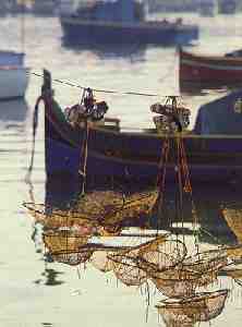 Fishing boats
