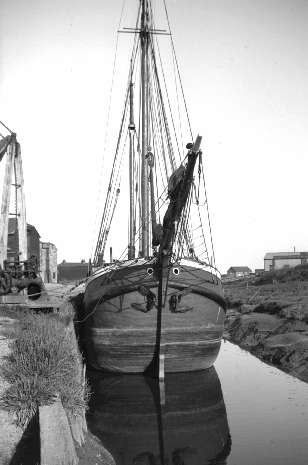 Dutch Sailing Barge