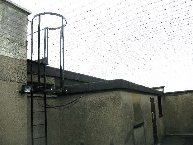 Roof top access ladder
