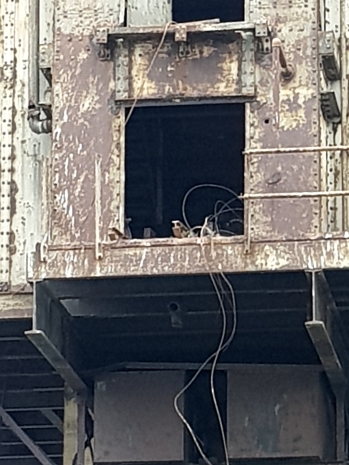 Looking South into the Searchlight Tower