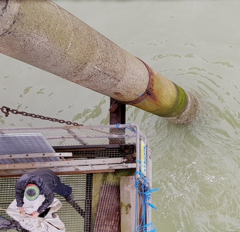 Joe Jmaes load the bag