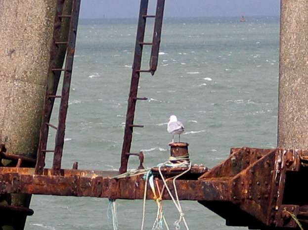 Bofors Gun Tower landing stage