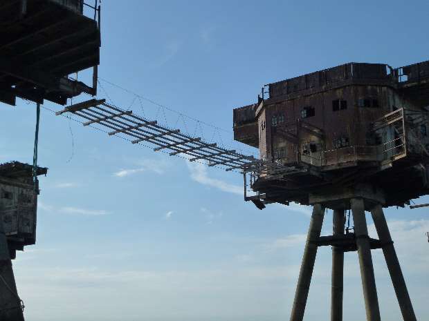 East view of Junglewalk