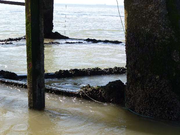 Close up of leg bracing