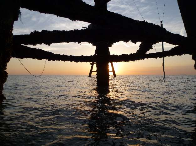 Below G1 at low tide 1