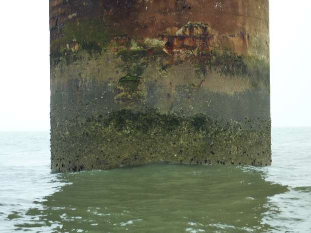 Southern leg detail