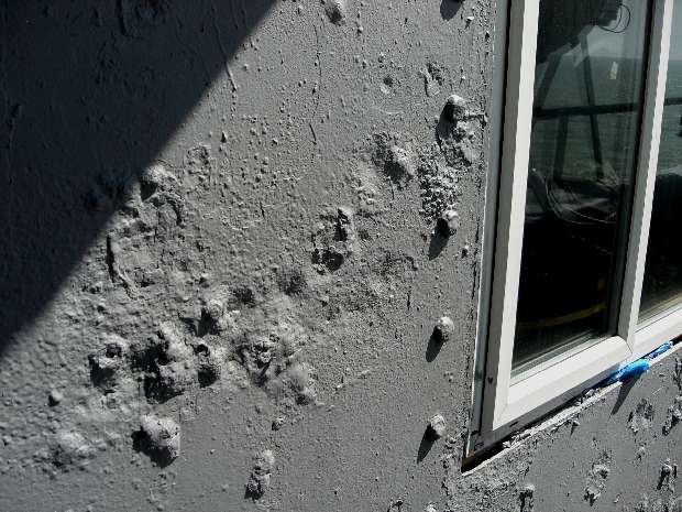 Steel and window detail