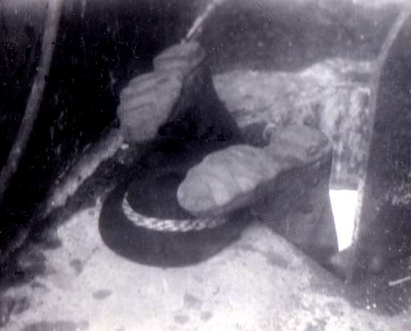 Jerry leaves the Fort!