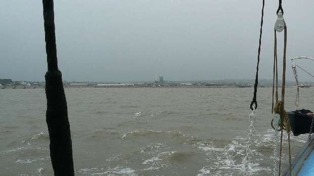 SB Great leaves Whitstable Harbour