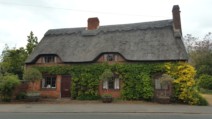 Thatched Cottage across from Allans Lane
