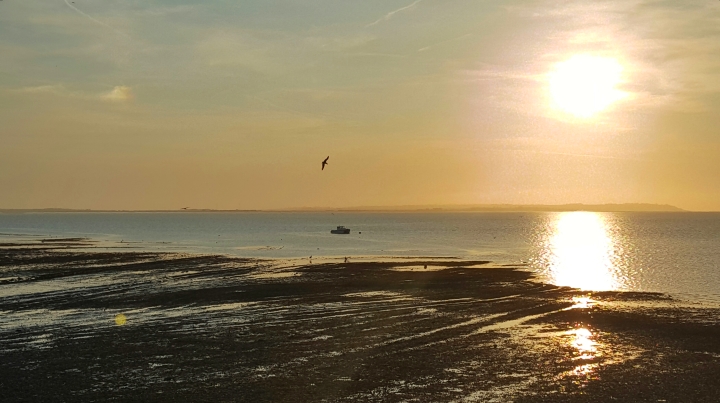 Whitstable sunset